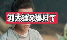 刘大锤今日爆料的是谁呀,揭秘神秘人物身份